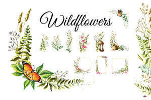 Wildflowers