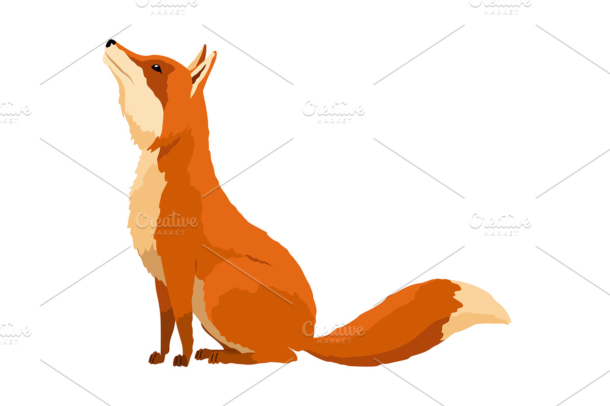 Red fox. Funny character, forest, an Animal Illustration by the8monkey