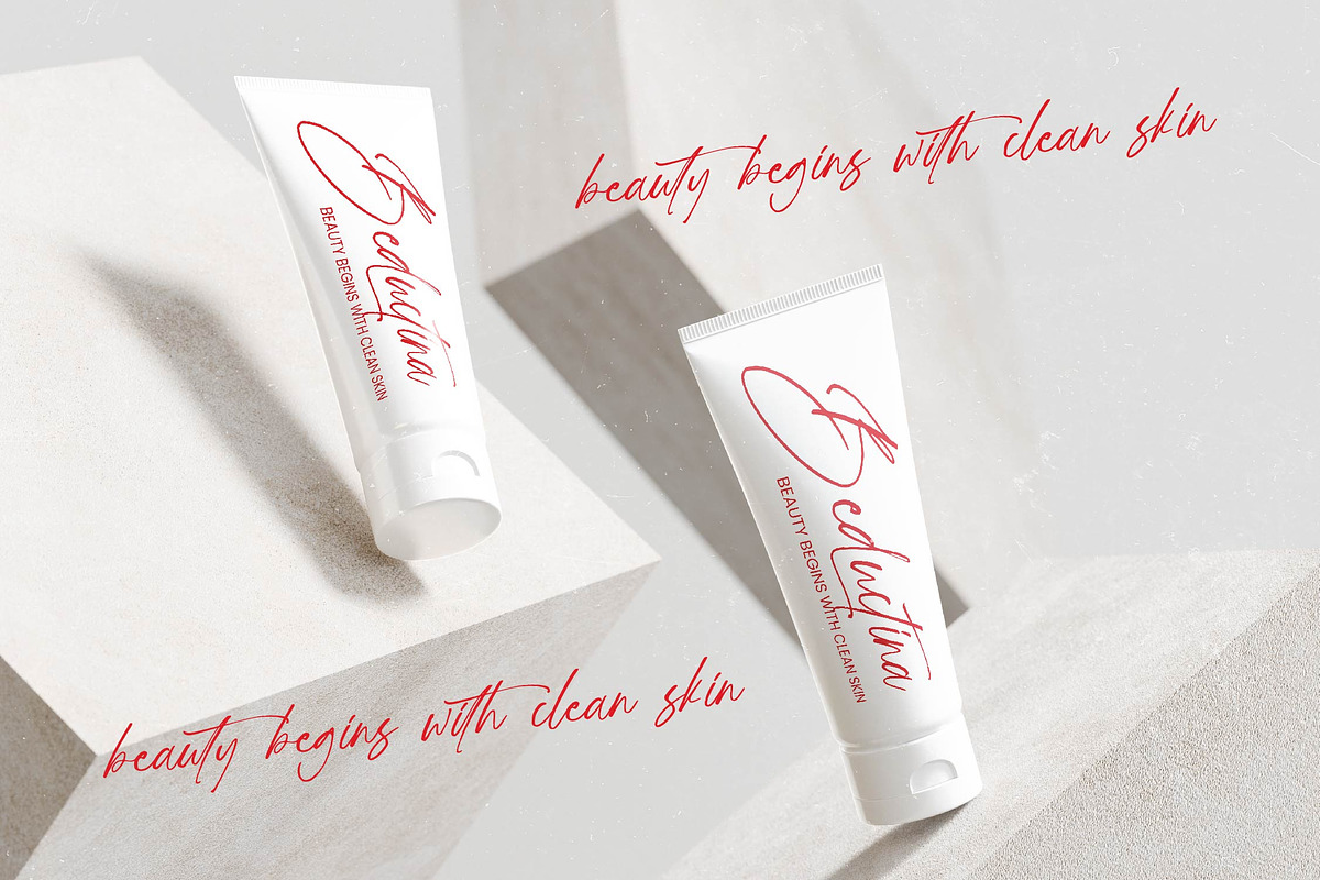 Loudspeaky Absolute Signature Brush, a Script Font by stylishtype.co (Photo 2 of 10)