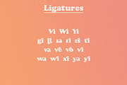 Andromeda // A Vintage Soft Serif, a Serif Font by Megs Lang (Thumbnail 15 of 18)