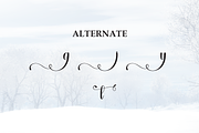 Winterday | Script Font, a Handwritten Font by Scratchones (Thumbnail 8 of 9)