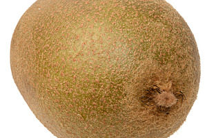 Whole kiwi fruit on isolated background, healthy food., a Food & Drink Photo by ndanko