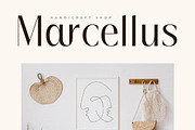 Qiblah New Modern Sans Serif, a Sans Serif Font by Storytype Studio (Thumbnail 3 of 15)