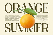 Velenor - Elegant Retro Serif Font, a Serif Font by Flawless And Co (Thumbnail 2 of 10)