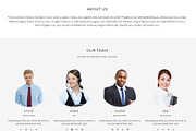 Baleen - One Page Bootstrap Template, a Bootstrap Template by DesignOrbital (Thumbnail 4 of 5)