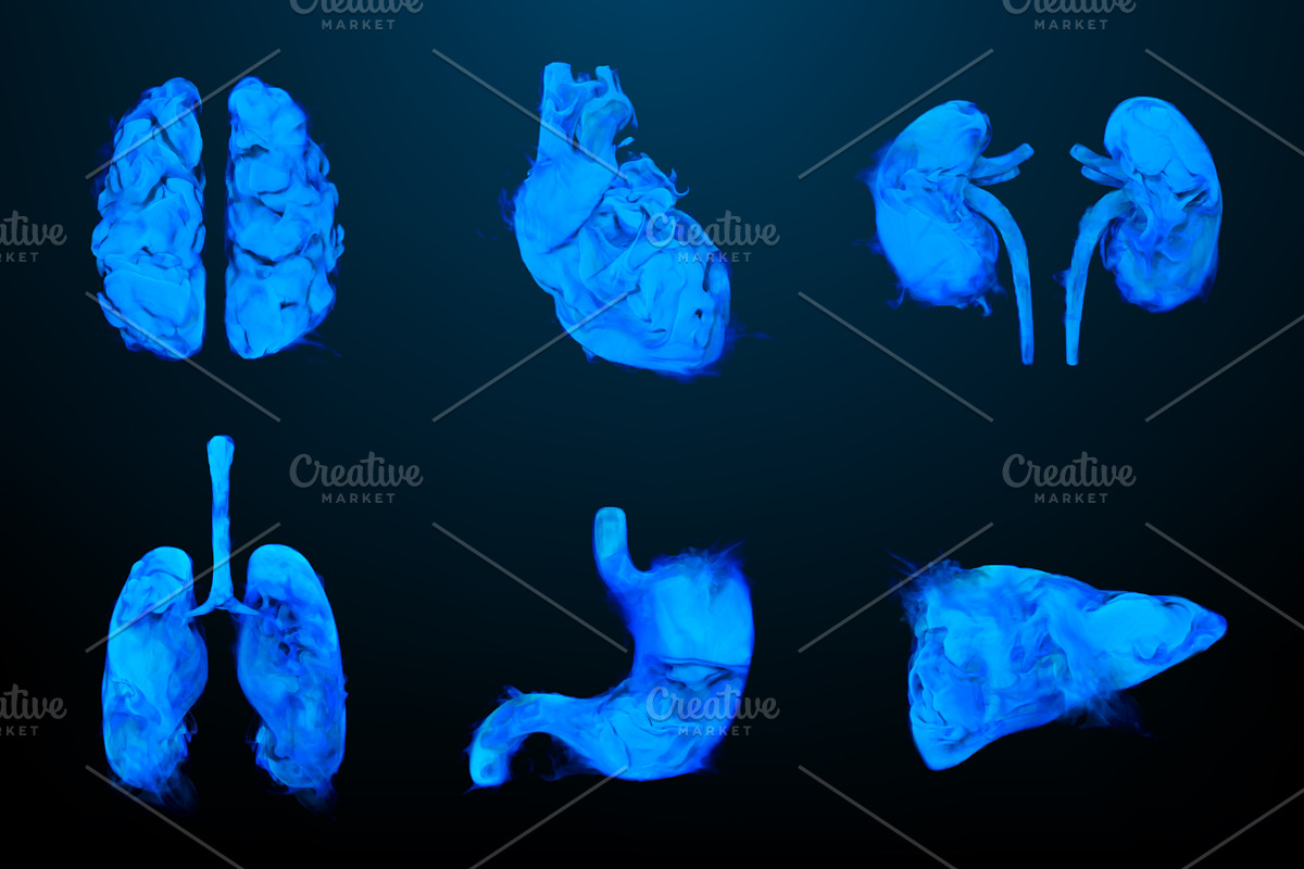 Smoky shapes of human organs, a Healthcare Illustration by Julvil (Photo 1 of 7)