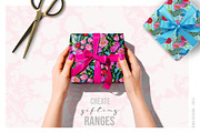 JAI Collection, a Decorative Illustration by Dana Designs (Thumbnail 9 of 14)