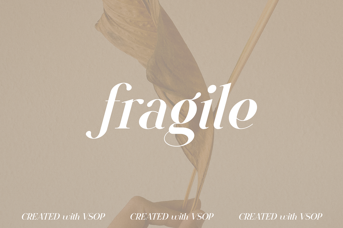 VSOP - elegant serif, 70 fonts, a Serif Font by VP Fonts (Photo 10 of 21)