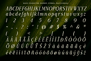Luxury Wedding Serif Font - Moelania, a Serif Font by Say Studio (Thumbnail 9 of 10)