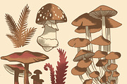 Fantastic Fungi Vectors, an Illustration by Instinct Design Co (Thumbnail 2 of 2)