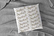 Romantika Hidup - Brush Script Font, a Script Font by StringLabs (Thumbnail 6 of 10)