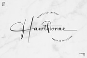 Magellin - Elegant Signature Script, a Script Font by Flawless And Co (Thumbnail 8 of 10)