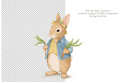 Vintage Summer Bunny Clipart Set, an Illustration by AlenaVlasko stock Market (Thumbnail 2 of 5)