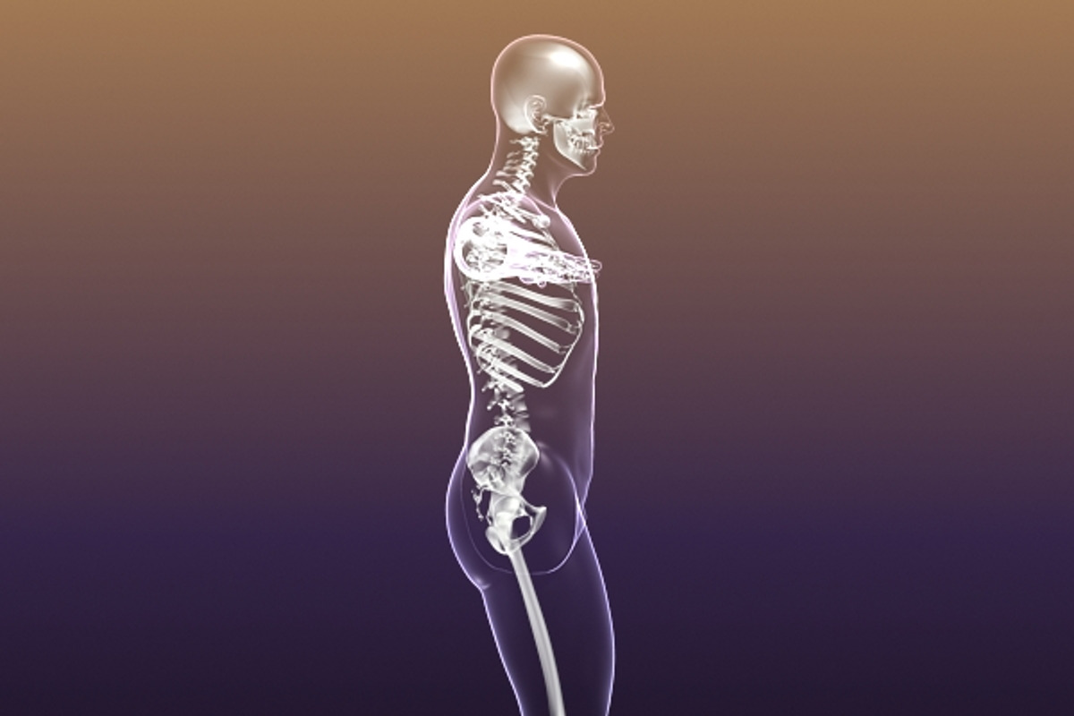 Human Skeleton in Body (X-Ray), a Characters & Person 3D Model by VisualCG (Photo 3 of 8)