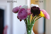 Classic Film - Lightroom Presets, a Plug-in Add-On by Jayson Photos (Thumbnail 2 of 7)