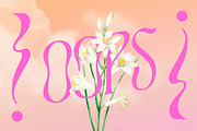 TAN - ASTORIA, a Serif Font by TanType (Thumbnail 3 of 21)