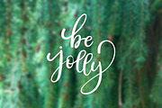 38 Christmas overlays + BONUS, a Decorative Illustration by Midstream (Thumbnail 7 of 9)