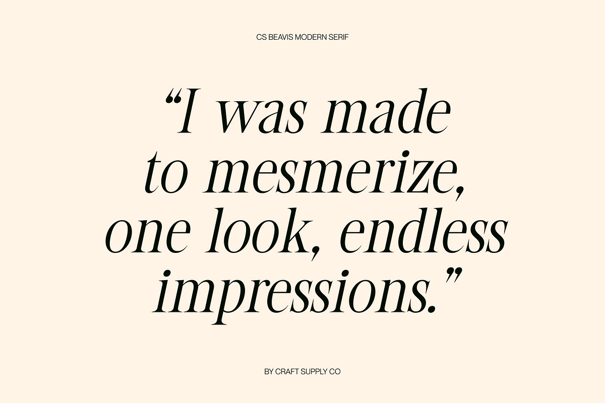 CS Beavis – Modern Serif Font, a Serif Font by Craft Supply Co. (Photo 2 of 8)