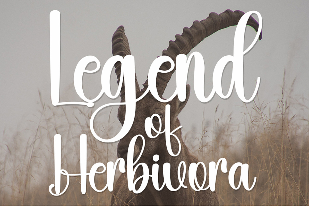 Goat - Script Font, a Script Font by InermediaSTUDIO (Photo 2 of 6)