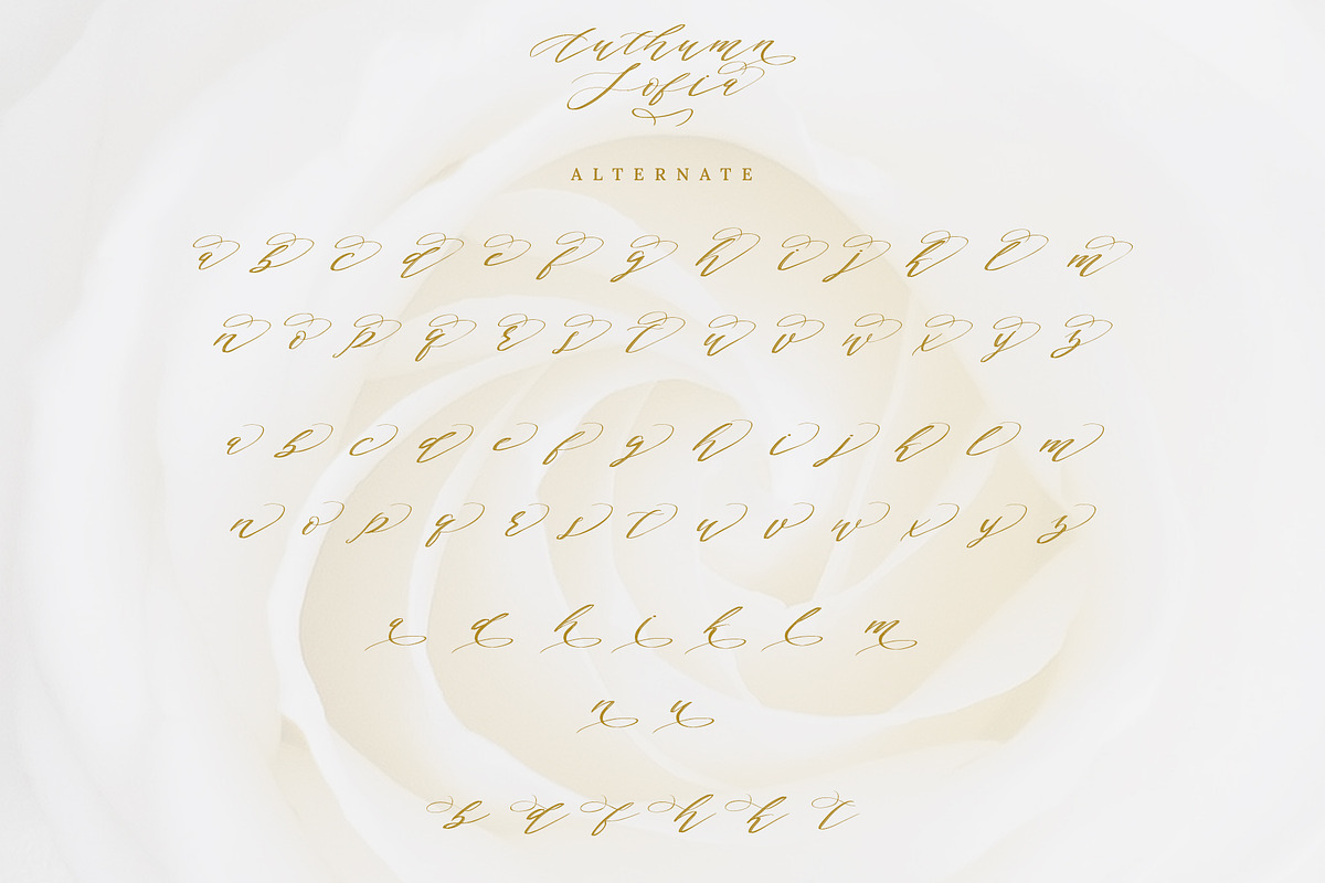 Authumn Sofia | Calligraphy Font, a Script Font by Analogous (Photo 12 of 16)