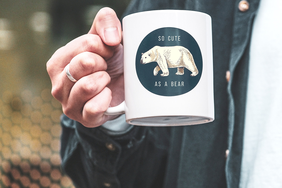Hand drawn Arctic animals collection, an Animal Illustration by handsketched (Photo 8 of 10)