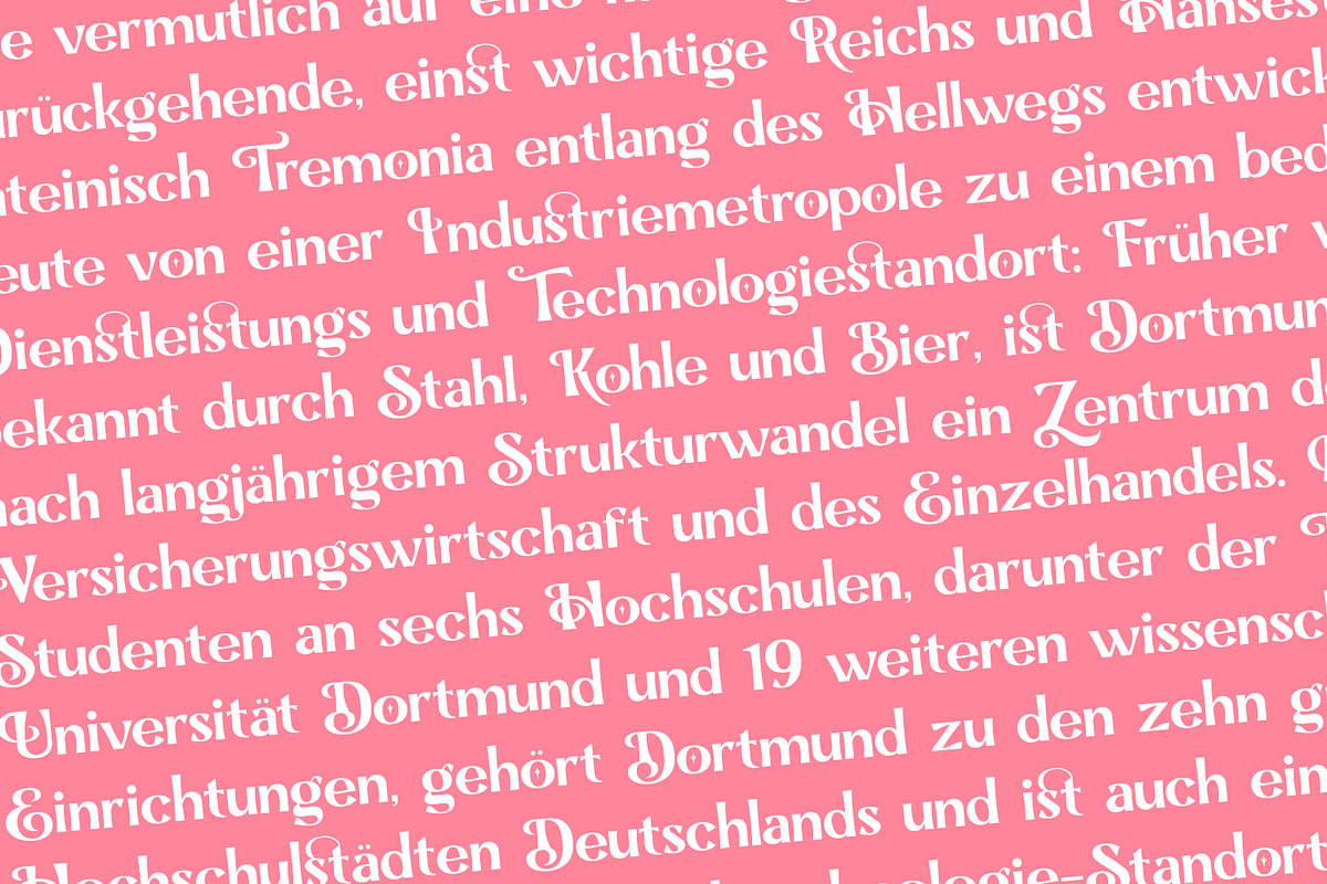 Boxes, a Serif Font by Naksatra (Photo 11 of 14)