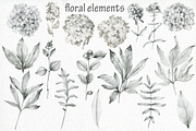 Butterflies and floral collection., an Illustration by TaPilipa (Thumbnail 3 of 13)