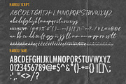 Harigu | Font Duo, a Script Font by Awanstudio (Thumbnail 9 of 9)