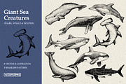 Giant Sea Animal Hand Drawn Elements, an Animal Illustration by Artolabs (Thumbnail 1 of 5)