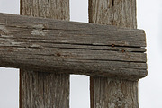 Alphabet Photography Letter H, a Nature Photo by Artistic Letters (Thumbnail 4 of 7)