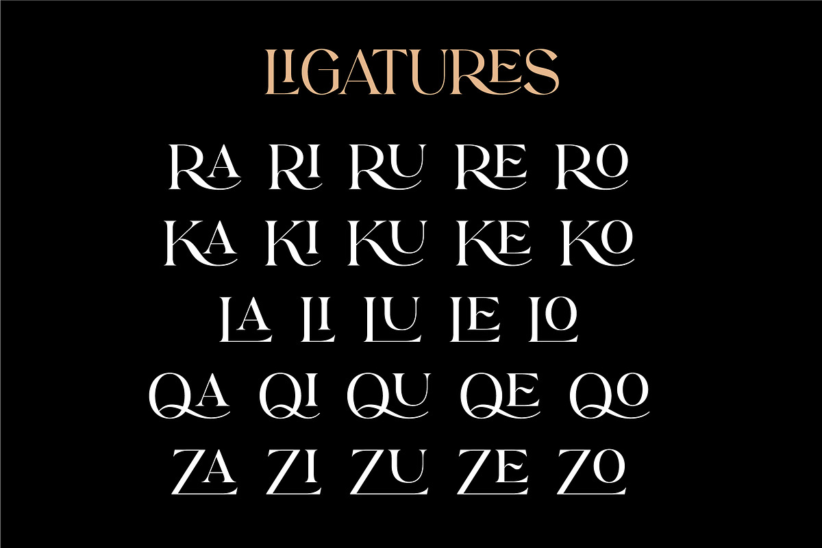 Darrell Rolando - Display Font, a Serif Font by Grezline Studio (Photo 11 of 13)