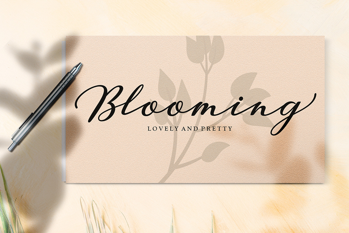 Klibers Script, a Script Font by Picatype Studio (Photo 2 of 8)