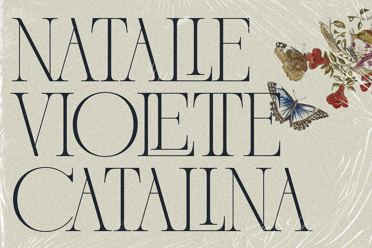 French Voyager - Chic Ligature Serif, a Serif Font by SilverStag Type Foundry (Photo 6 of 23)