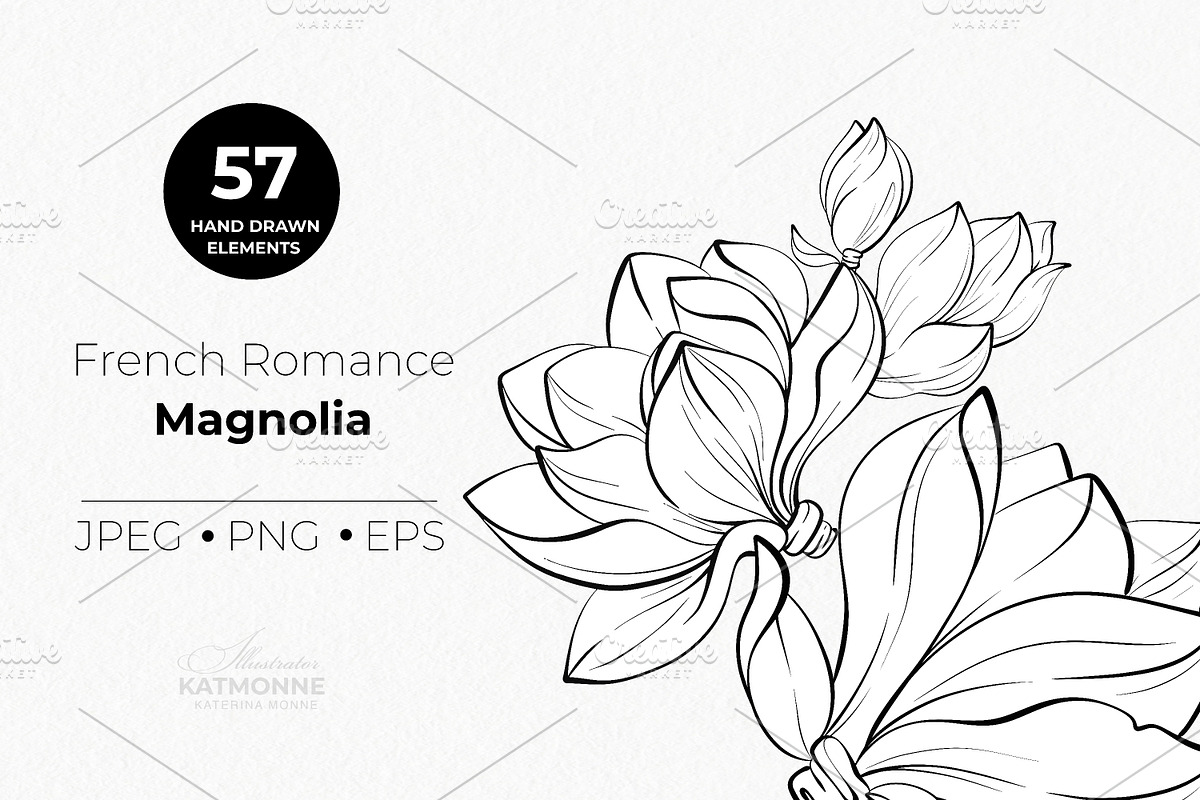 Magnolia Line Art Botanical Vector, a Decorative Illustration by katmonne (Photo 5 of 13)