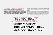 Ace Sans Roman, a Sans Serif Font by FactoryType Studio (Thumbnail 7 of 11)