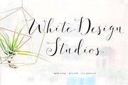 Fashionista Modern Calligraphy, a Script Font by Emily Spadoni (Thumbnail 4 of 9)