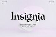 Astegra - Ligature Serif, a Serif Font by Mulkan Nazir (Thumbnail 11 of 17)