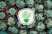 Plant Lady - aesthetic line art, a Person Illustration by Annakniaz (Thumbnail 9 of 17)