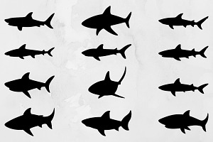 Shark Silhouette SVG, an Animal Illustration by newminddesign