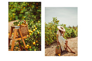 Limoncello Styled Stock Photo Bundle, a Background Photo by Munopia (Thumbnail 7 of 7)