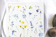 Charming Rustic Watercolors, an Animal Illustration by Eva Katerina (Thumbnail 12 of 15)