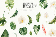 Tropical jungle - watercolor set, a Decorative Illustration by Pamyatka Shop (Thumbnail 27 of 27)