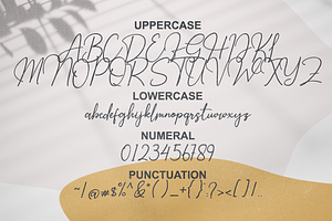 Hardiness - Luxury Script Font