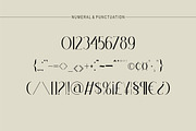 Velinne, a Serif Font by Kenrichi (Thumbnail 9 of 11)