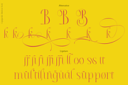 Capigrella Font, a Serif Font by TypeClassHeroes (Thumbnail 9 of 15)