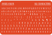 Ansela Blur, a Sans Serif Font by Craft Supply Co. (Thumbnail 8 of 8)