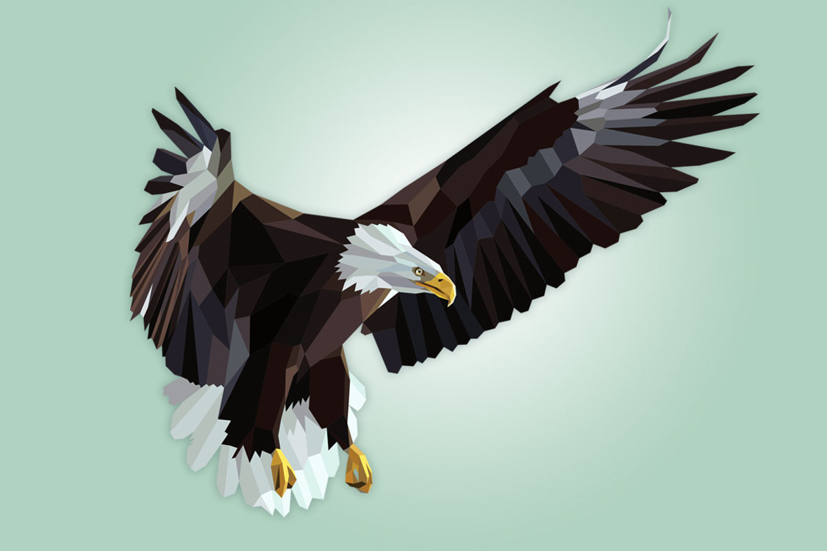 3 Birds Polygon Style, an Animal Illustration by nordicworker (Photo 3 of 5)