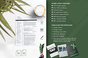 Pharmacy Resume Template Word, a Resume Template by Career Canvas (Thumbnail 5 of 11)