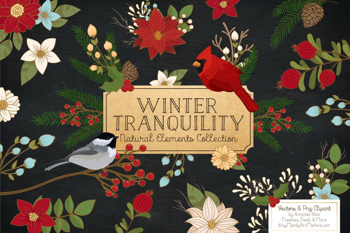 Christmas Birds & Flowers Vectors, an Illustration by Amanda Ilkov (Photo 1 of 5)