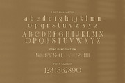 Molgin Elegant Modern Serif Font, a Serif Font by Graphicxell (Thumbnail 7 of 8)
